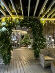 Stars Coffee (Mezhdunarodnaya Street, 12), coffee shop