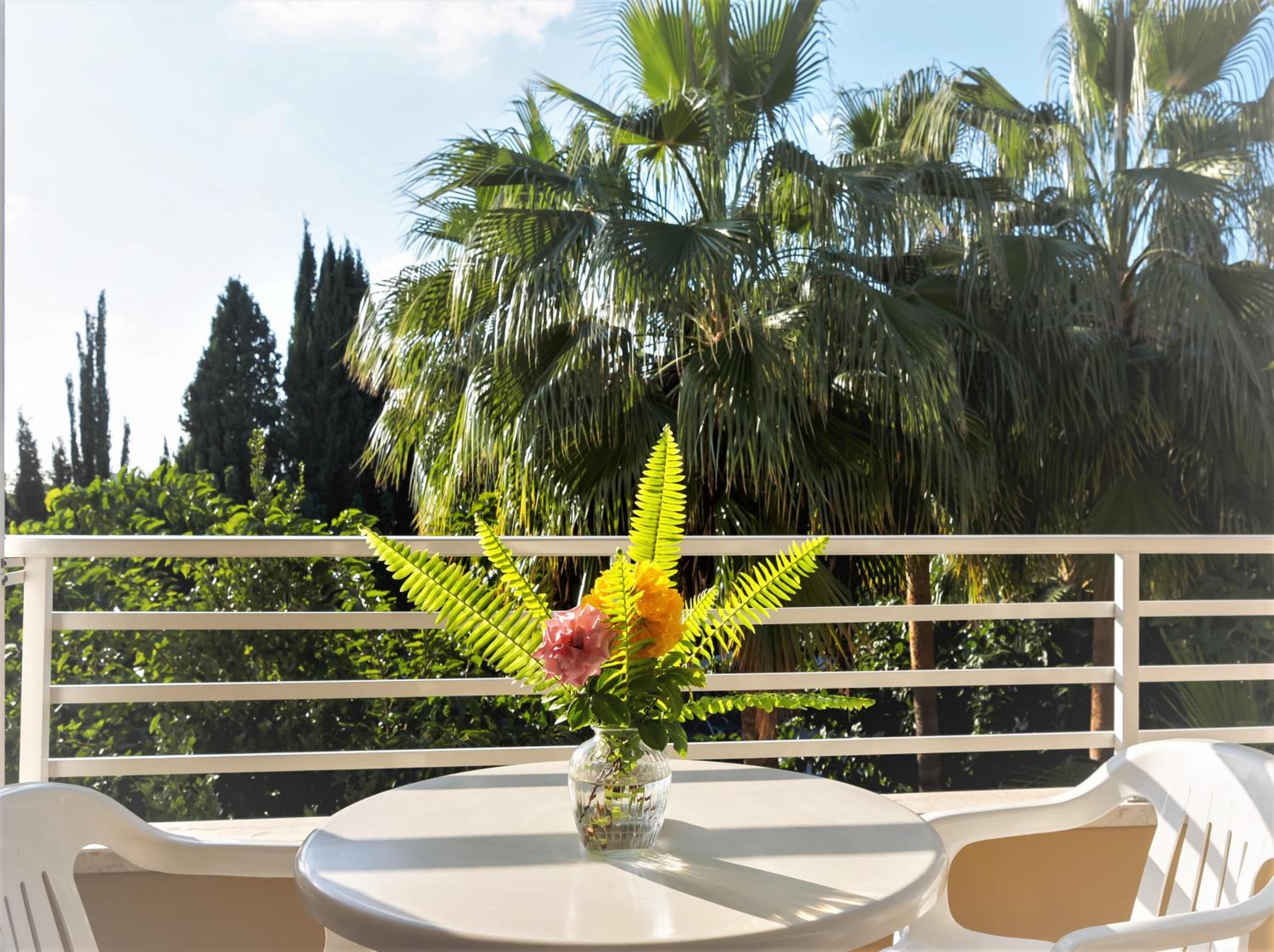 Фото Apollonia Holiday Apartments