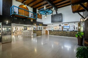 Гостиница Cactus Hotel