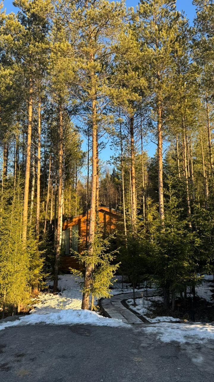 Фото Дача ForestHall