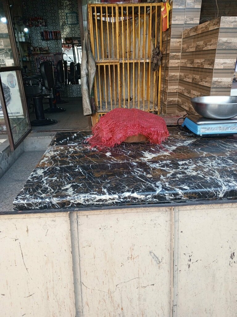 Egg and poultry meat ALi chicken shop, Lahore, photo