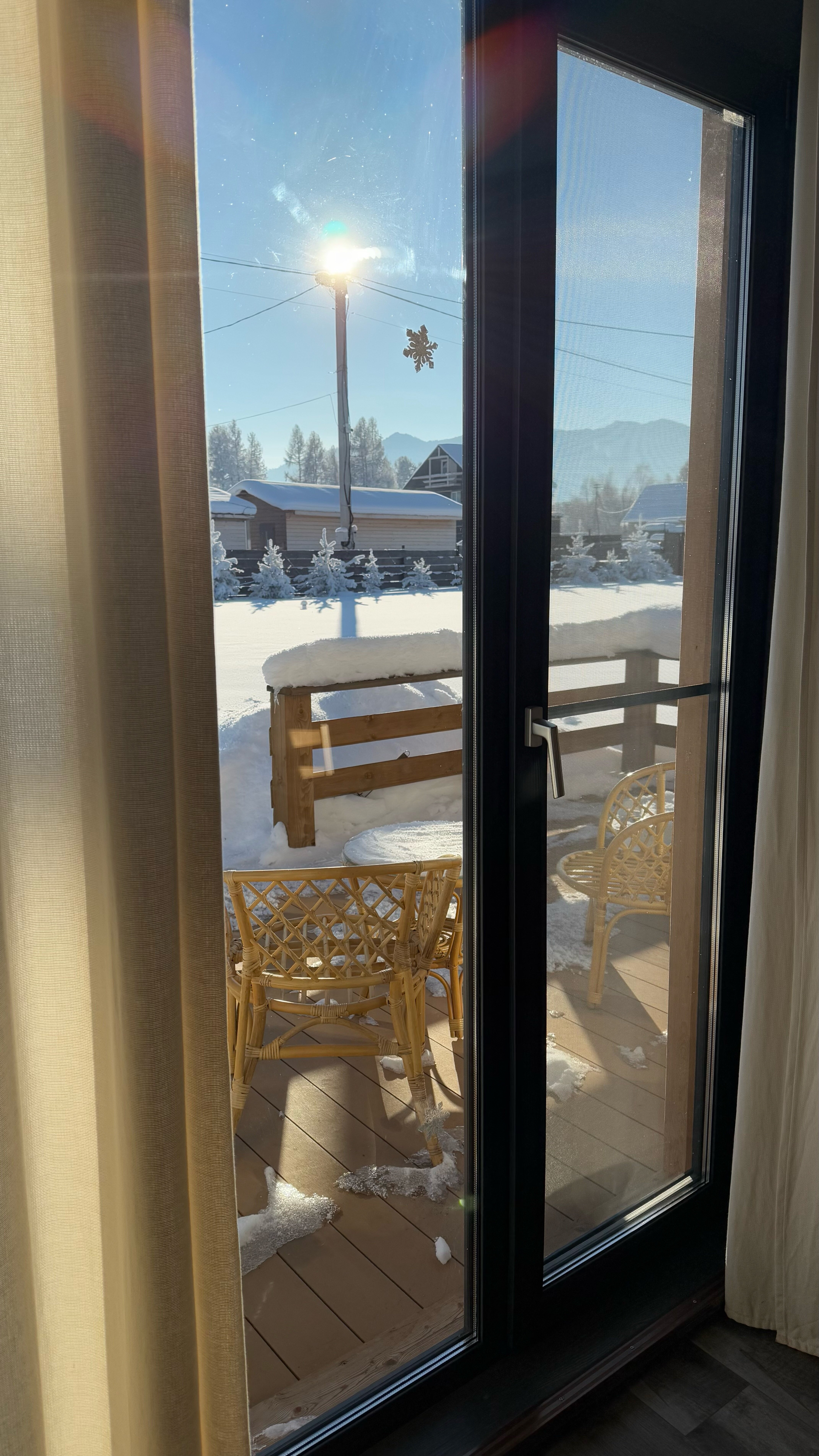 Фото Медуница