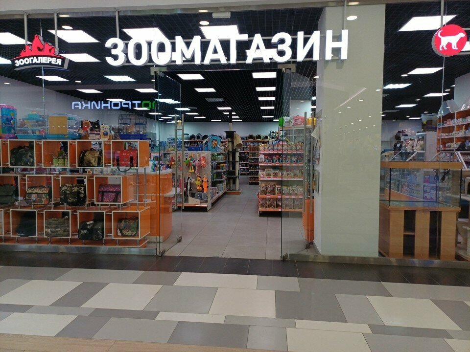 Pet shop Зоогалерея, Lipetsk, photo