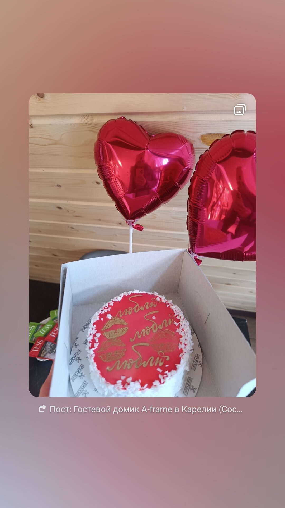 Фото Infinity Forest