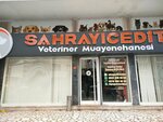 Sahrayicedit Veterinary Clinic (İstanbul, Kadikoy, Sahrayıcedit Mah., Osman Nuri Ergin Sok., 9A), veterinary clinic