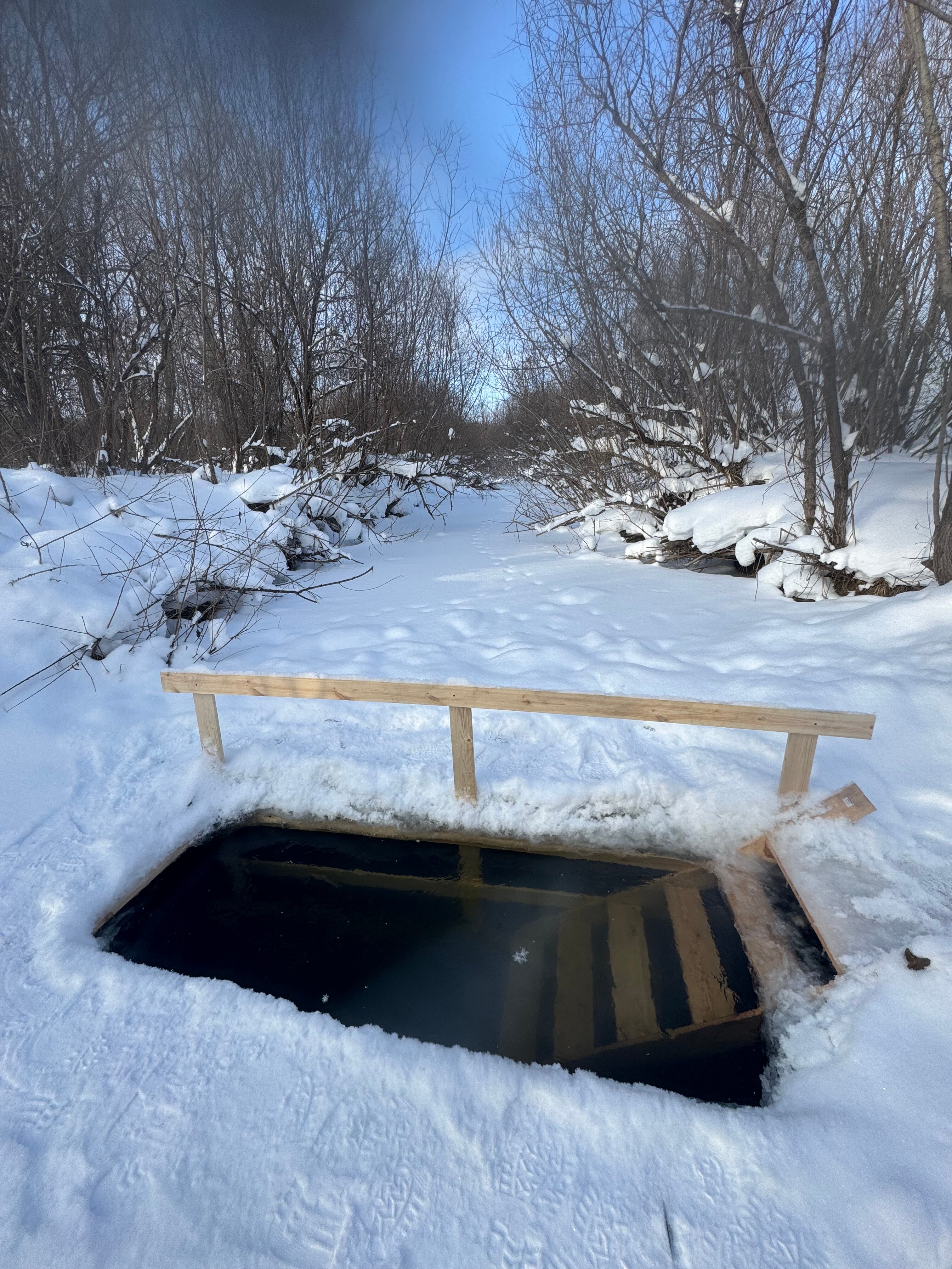 Фото Новые соседи