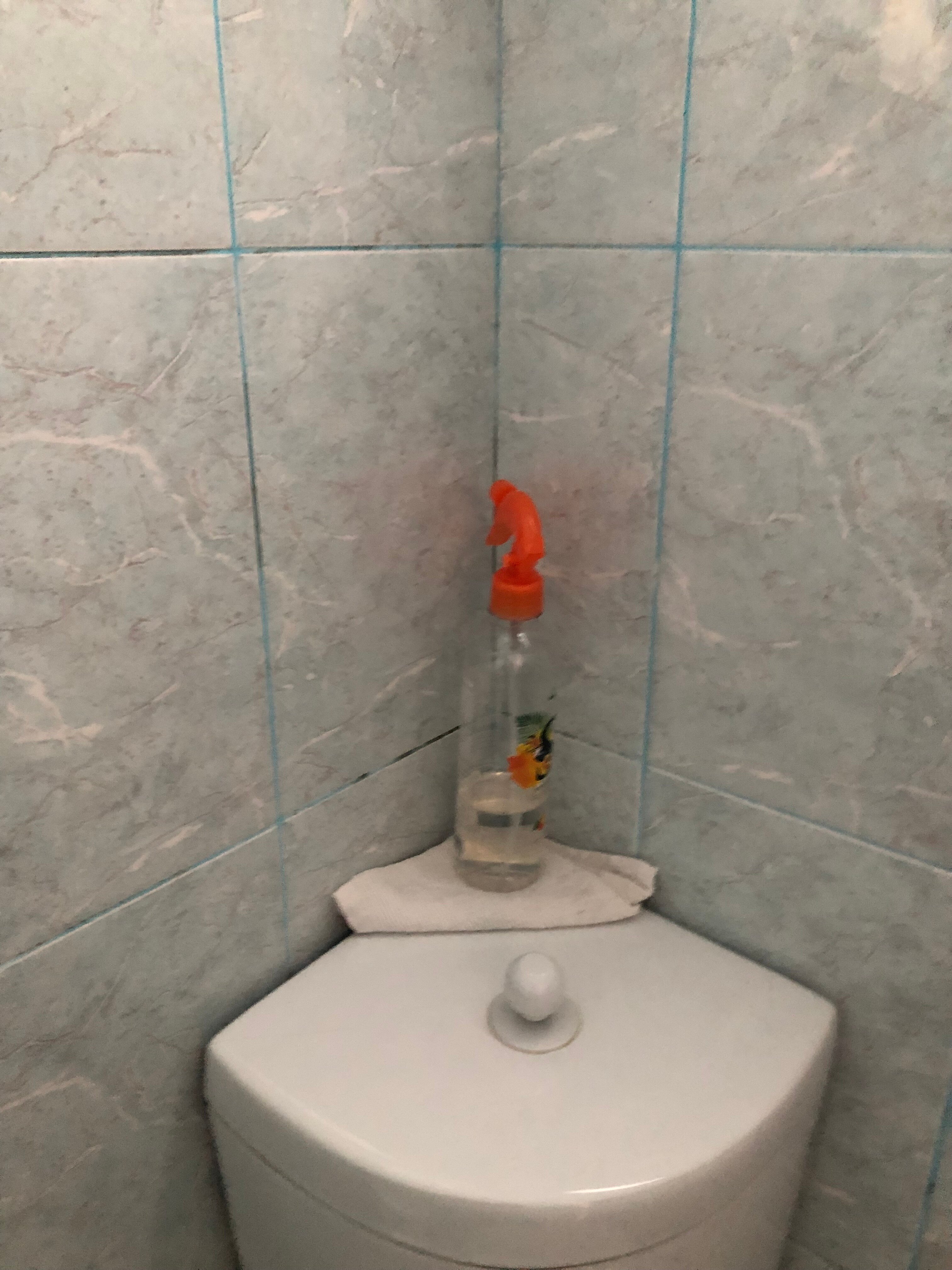 Фото Дом для гостей