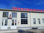 Train station (Peskova Street, 1/9), estación de tren