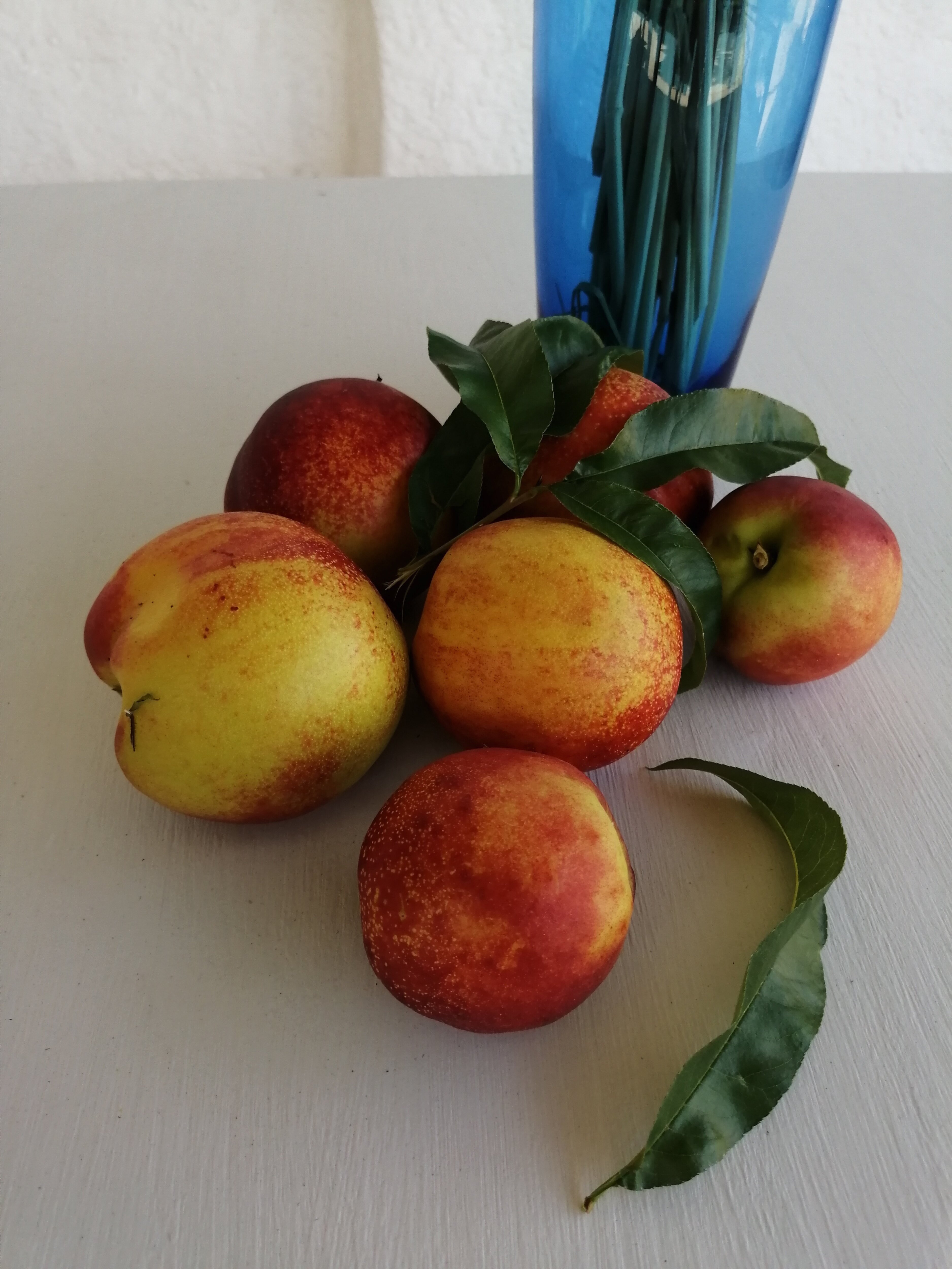 Фото Вилла Сиеста