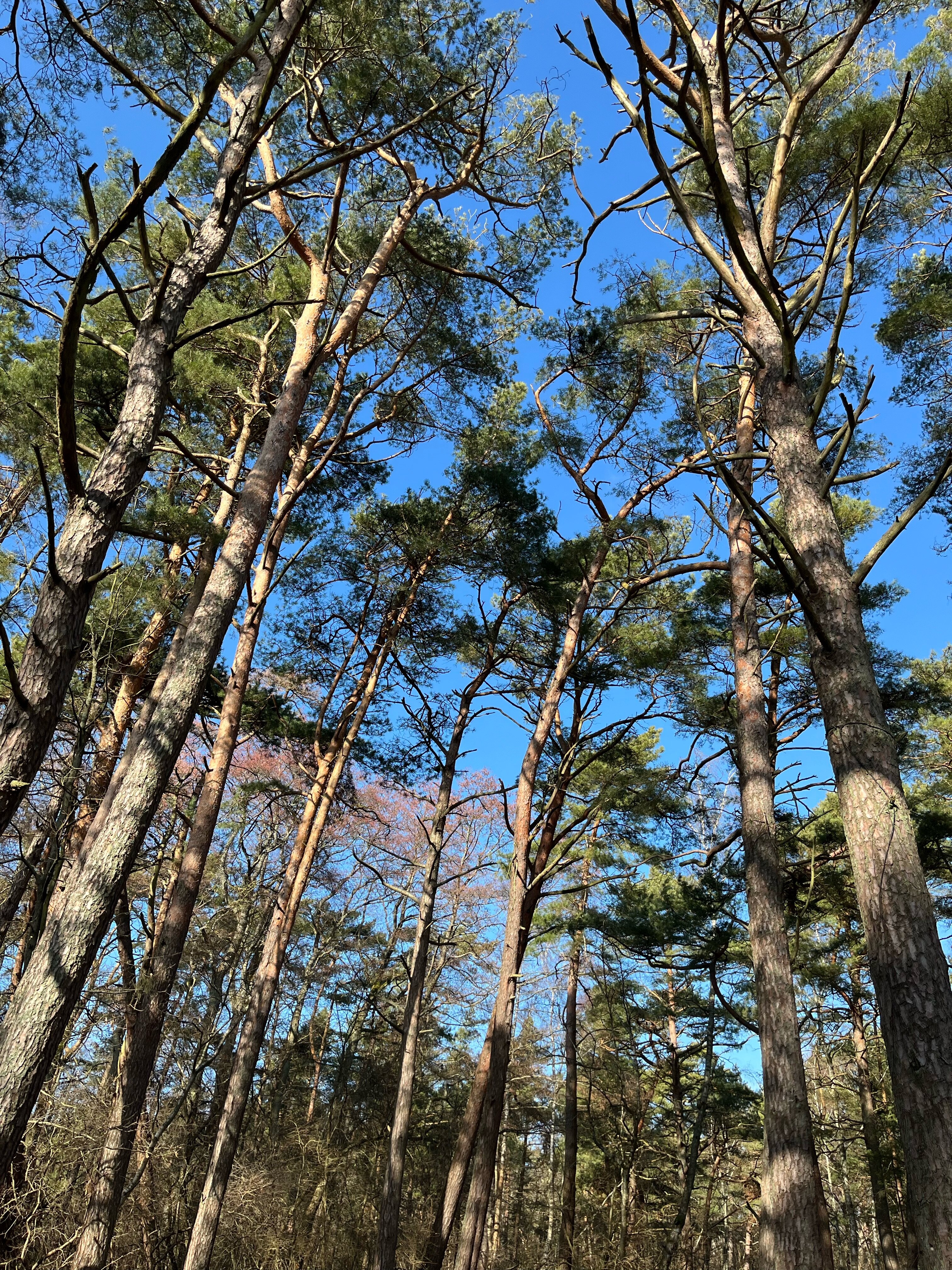 Фото Дом рыболова