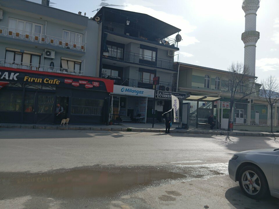 Real estate agency Tolga Emlak, Izmir, photo