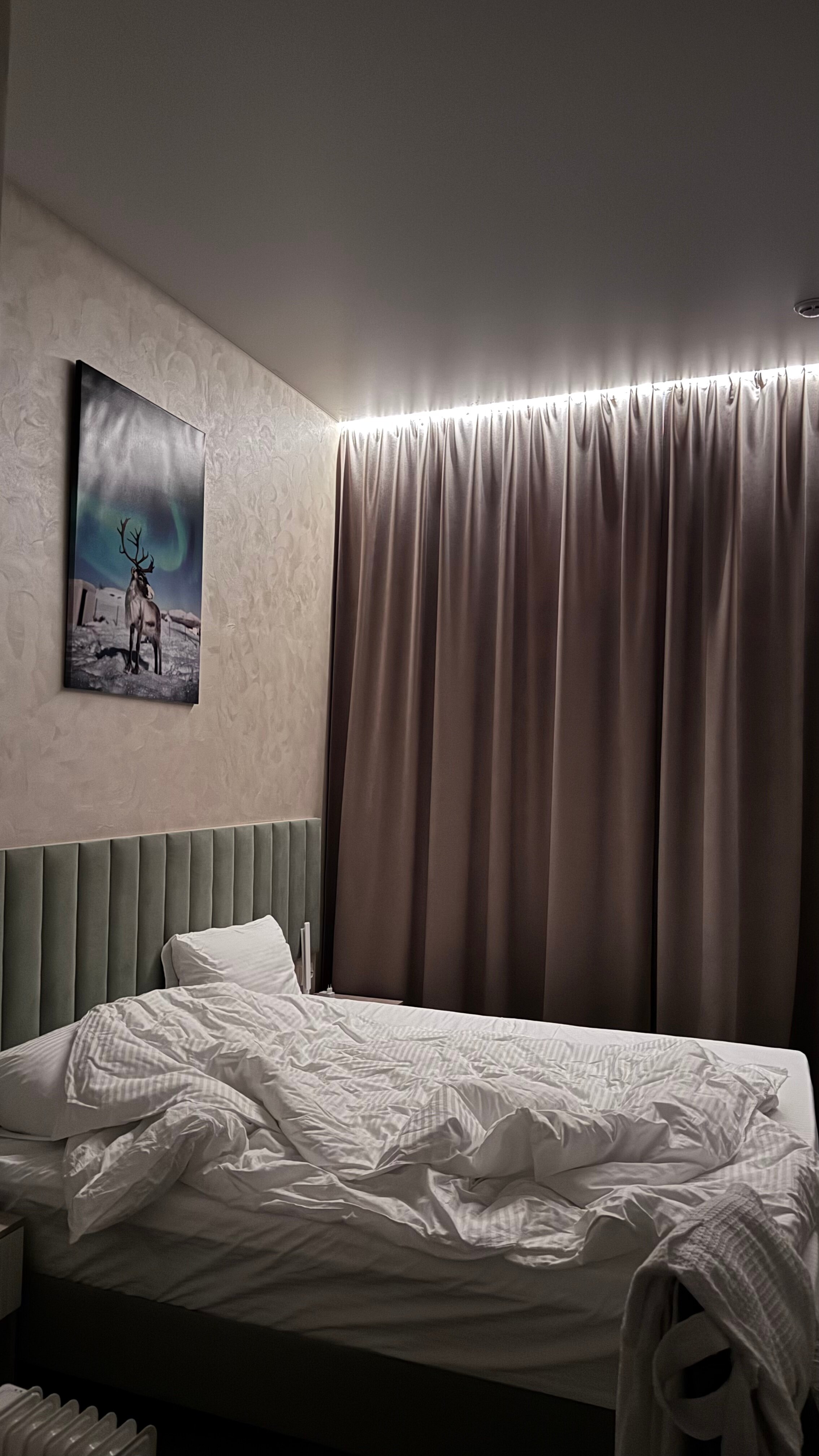 Фото Ягельный