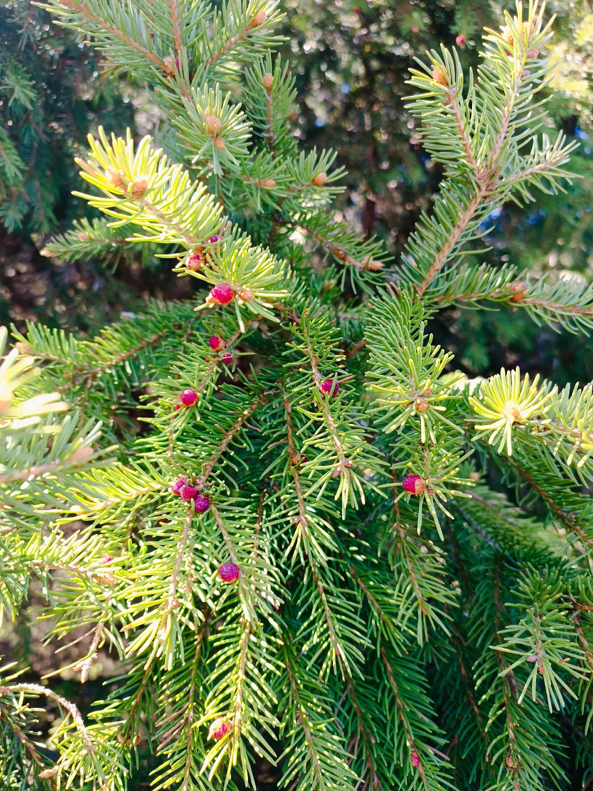 Фото СчастьеЛюбитТишину