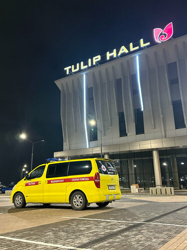 Қолмен анусқа жұдырық салу