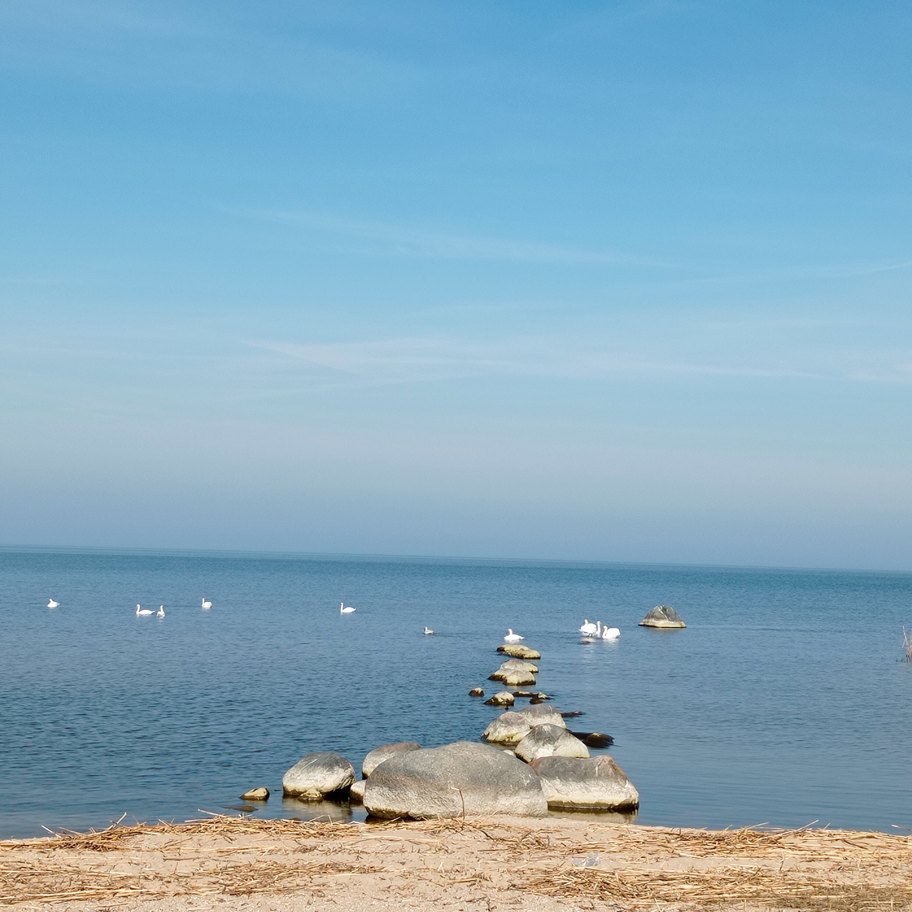 Фото Амбер-Сакрум