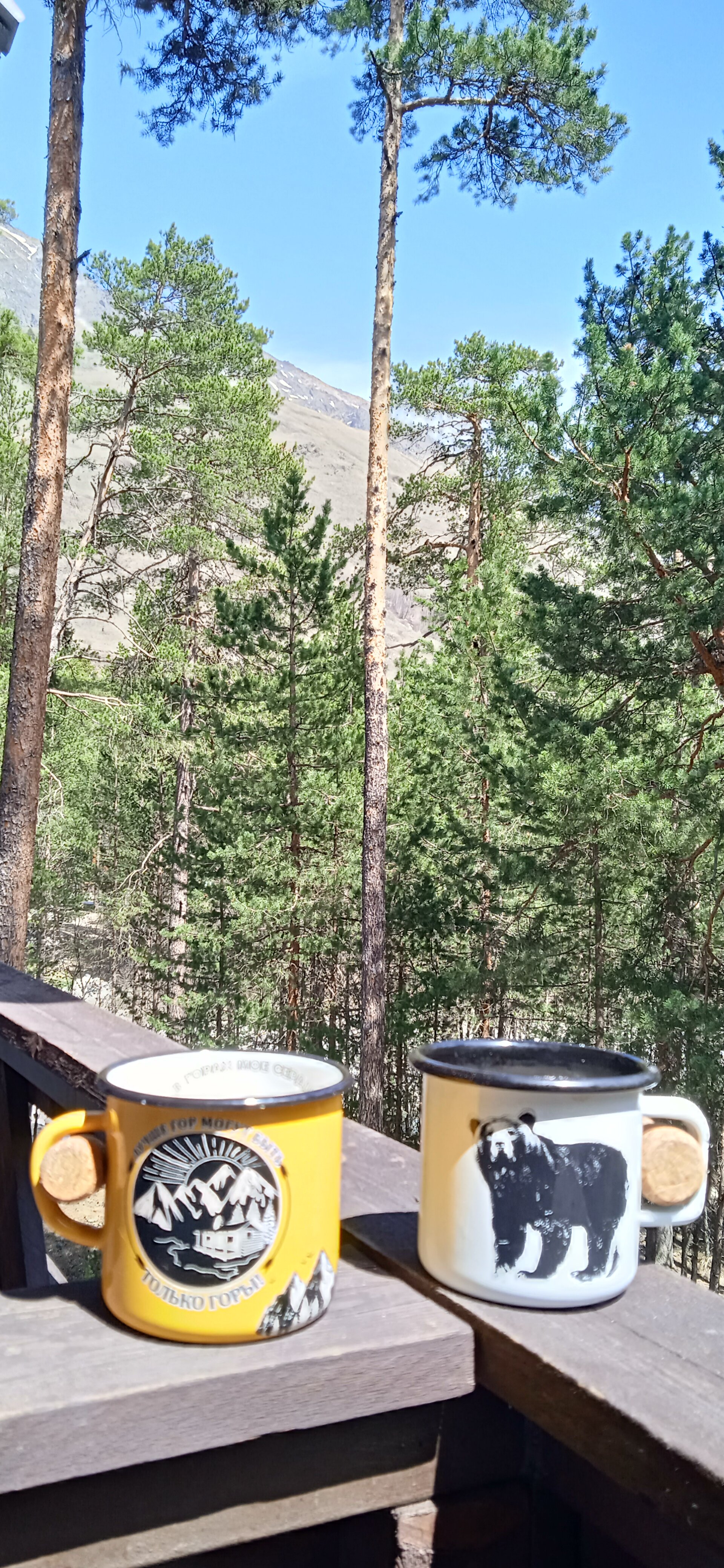 Фото Лагуна