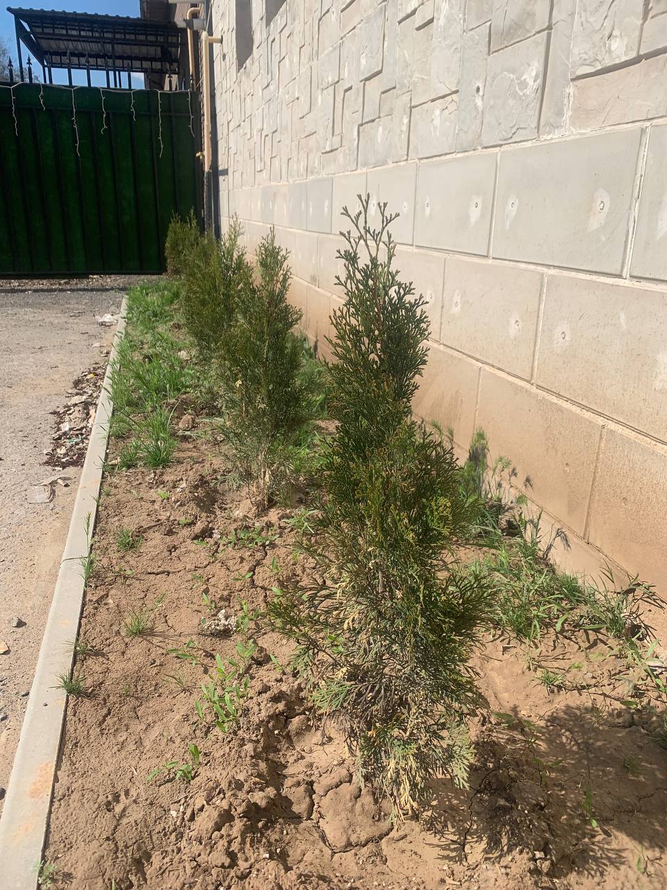 Фото Империал