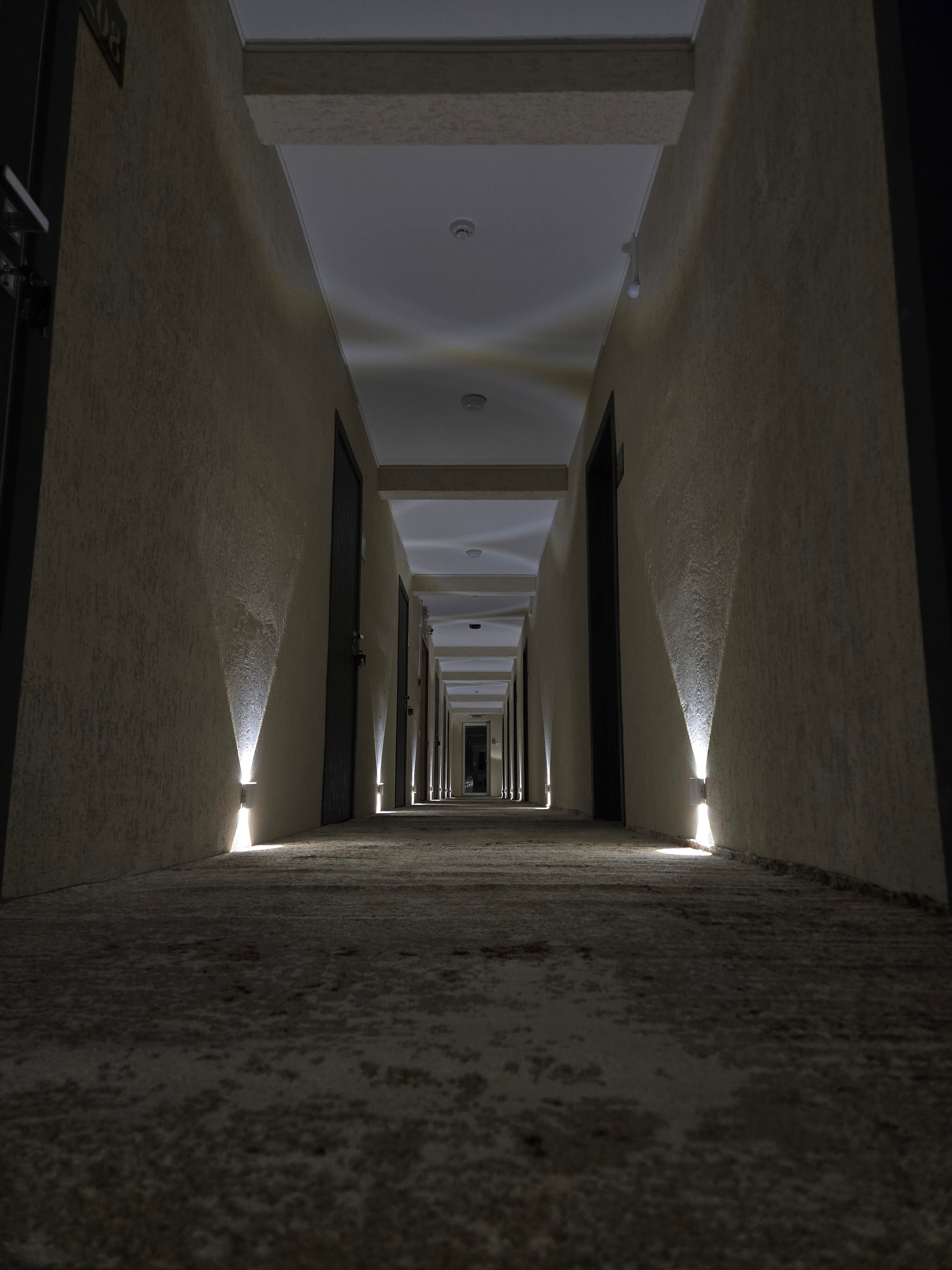 Фото Плюшкин двор