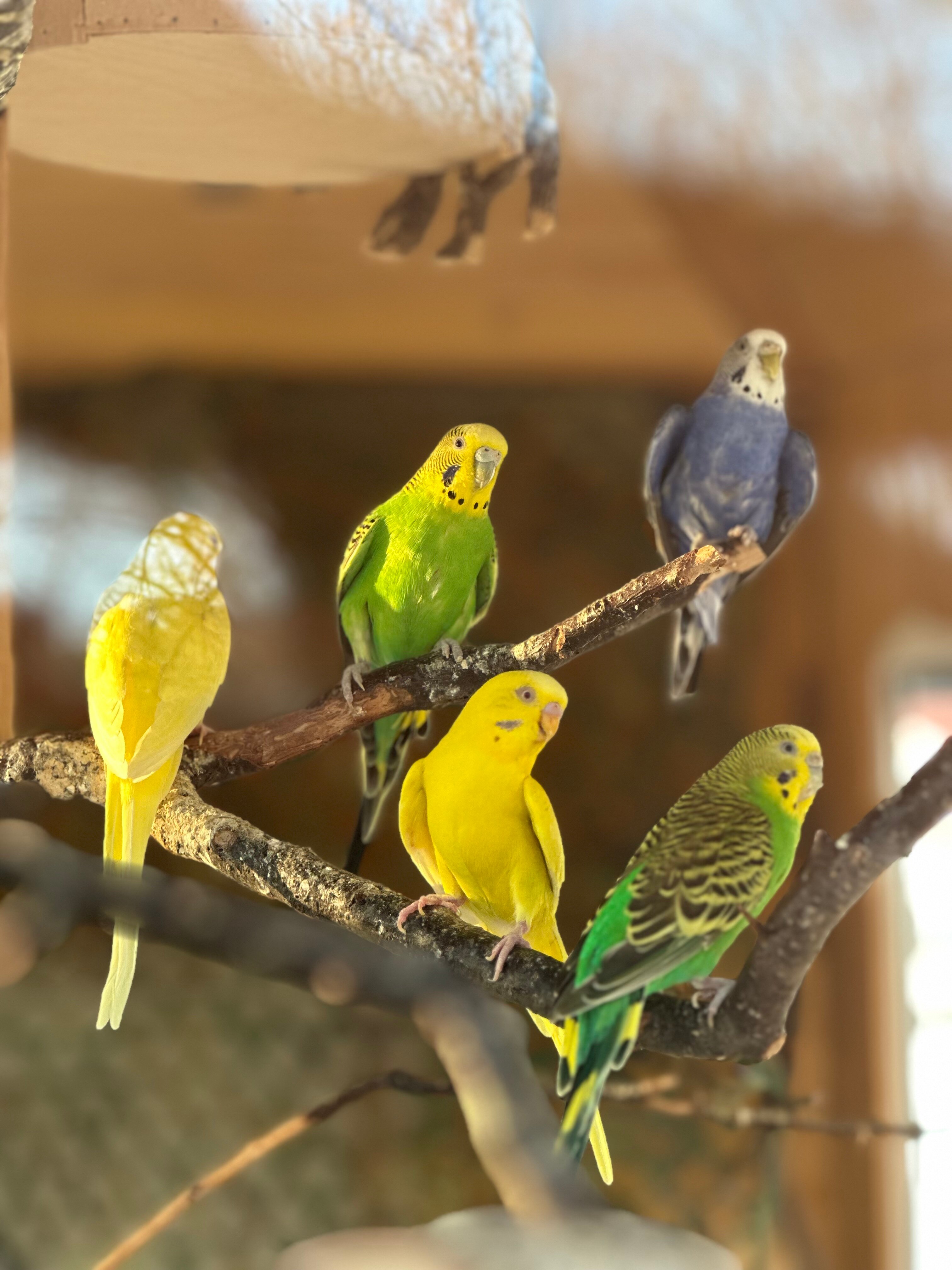 Фото Белая Русь