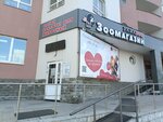 Paradogs (Scherbakova Street, 35), pet salon
