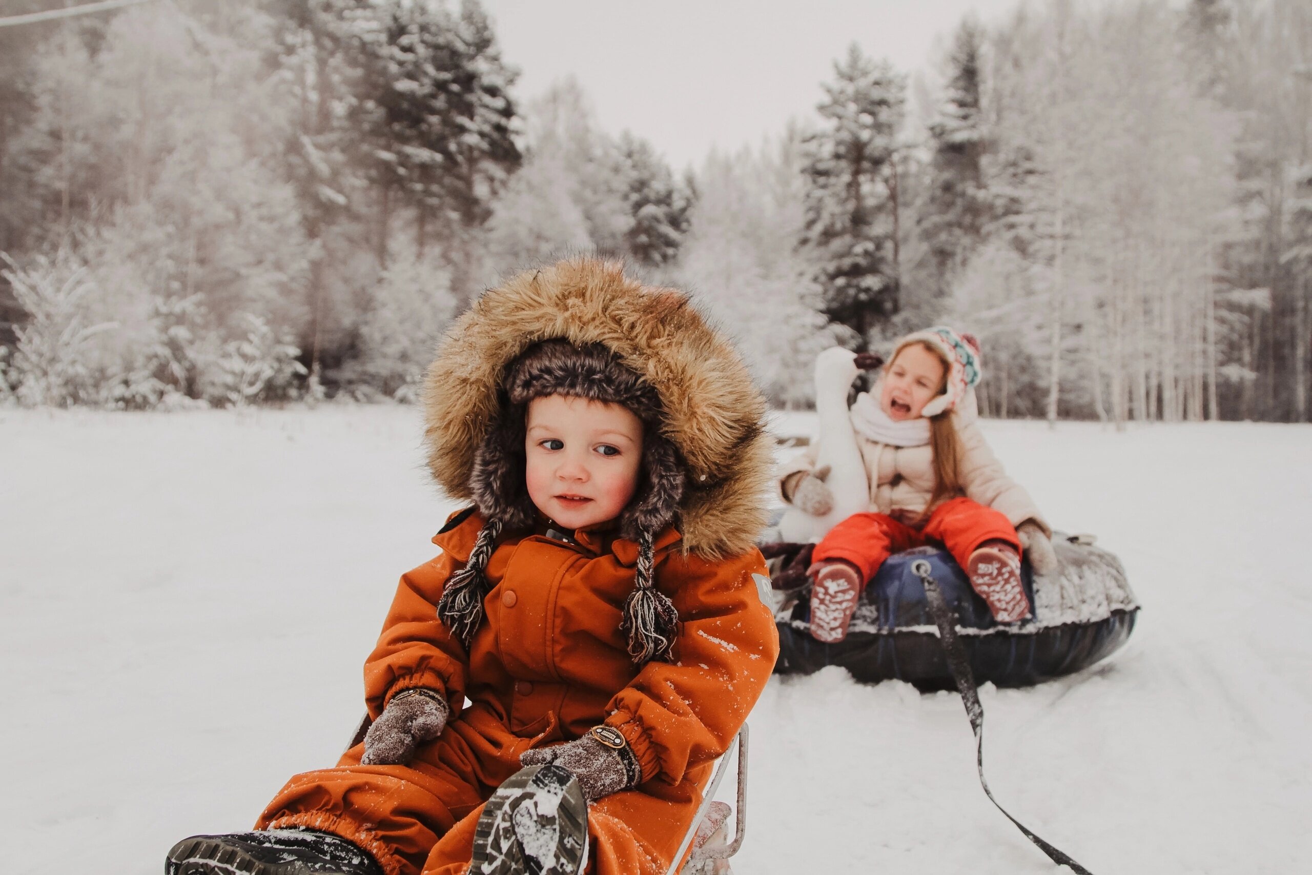 Фото Эко-усадьба Горностай