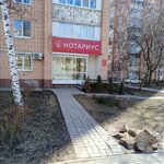 Notarius Chulkina M.B. (Kirova Street, 107), notarios