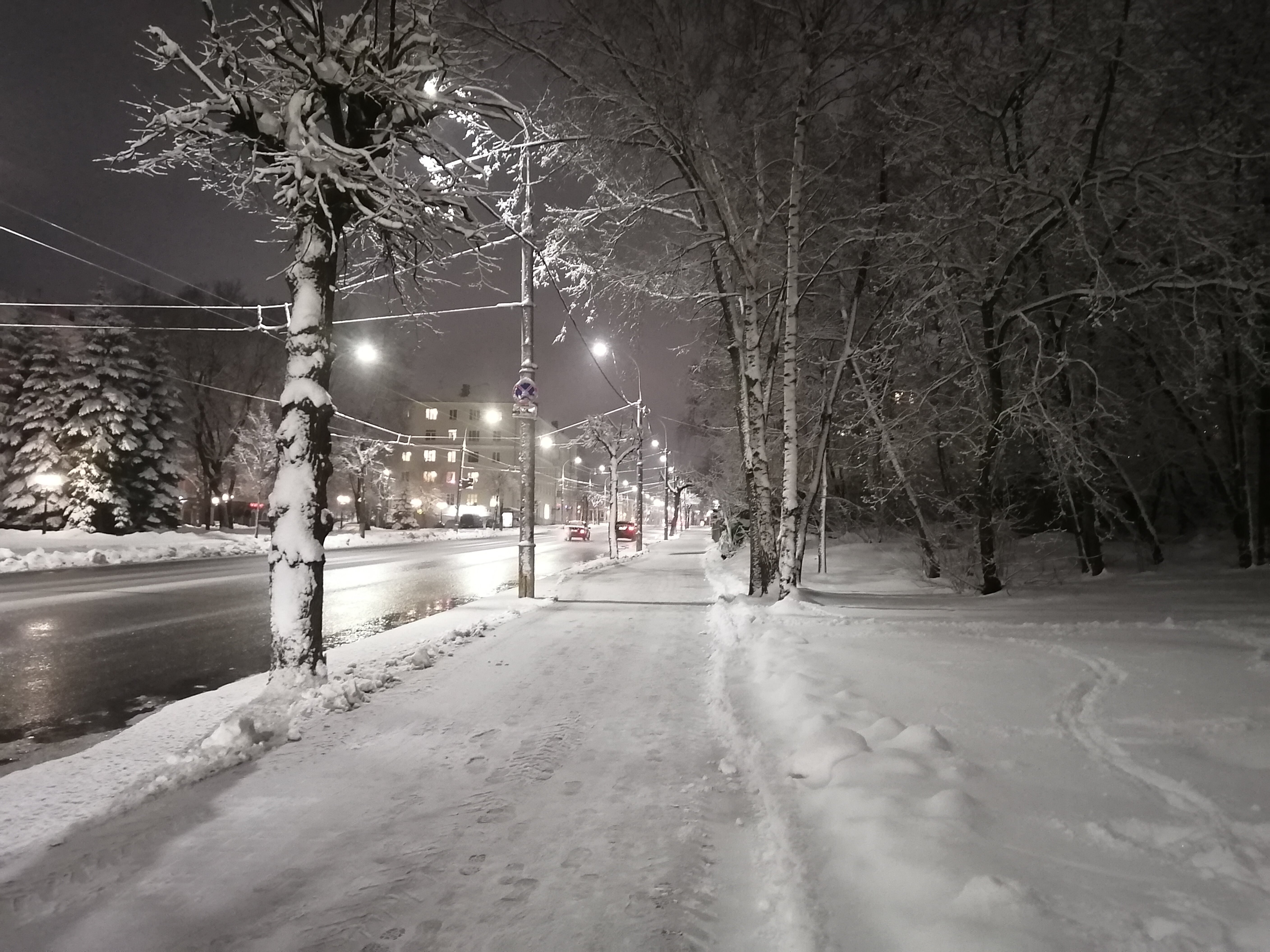 Фото Честер