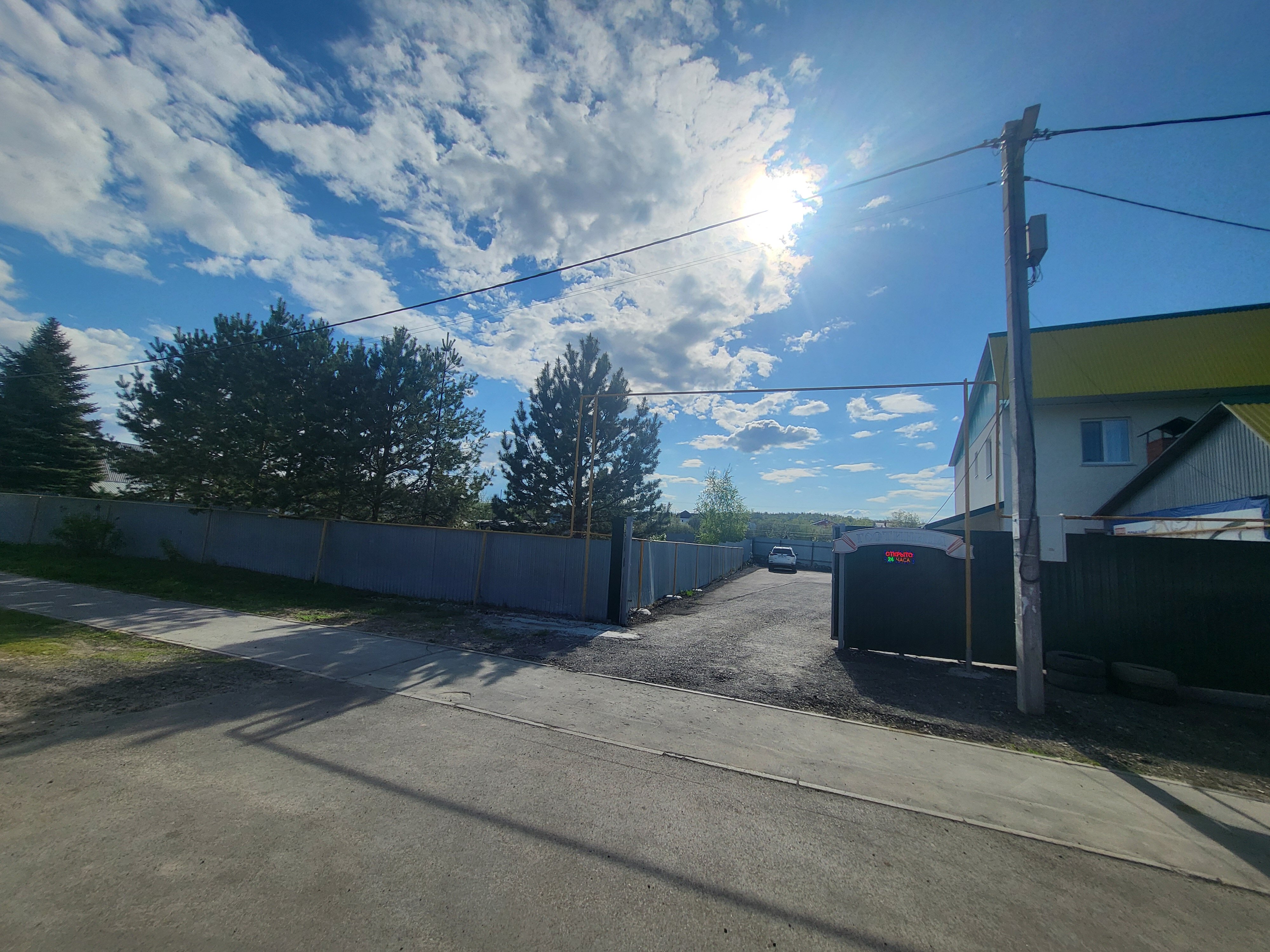 Фото Барбарис