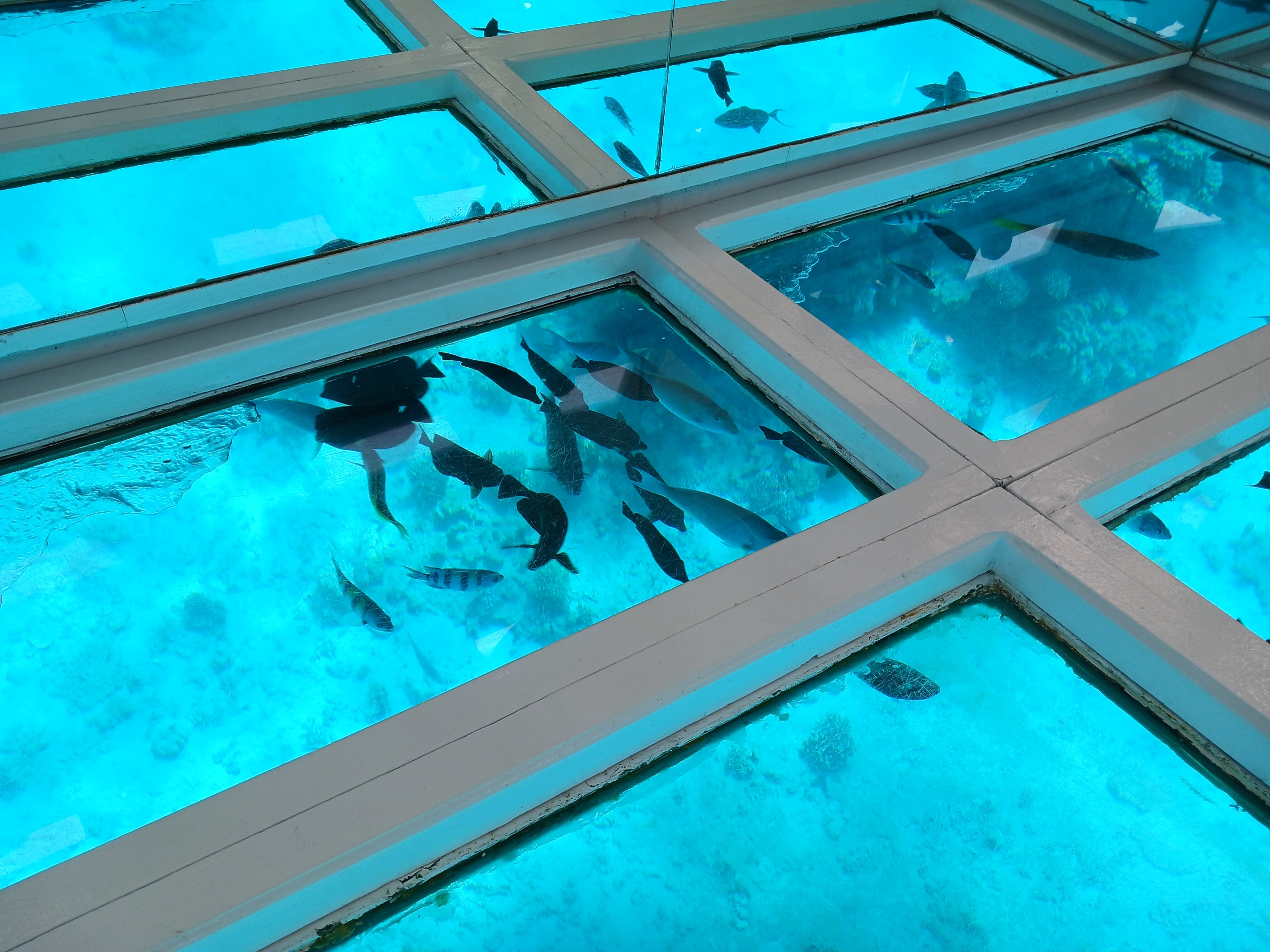 Фото Sea Beach Aqua Park Resort