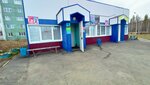 Северный (Severny Artek, ulitsa Severny Artek, 1с2), grocery