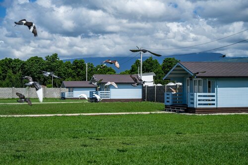 Гостиница Sea Village Gumista