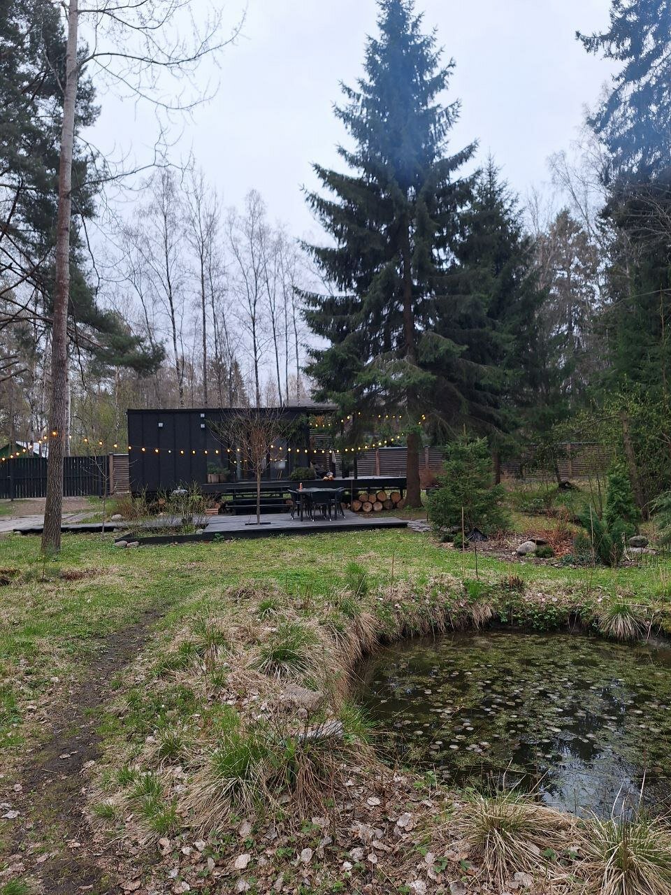 Фото Солнечные дачи