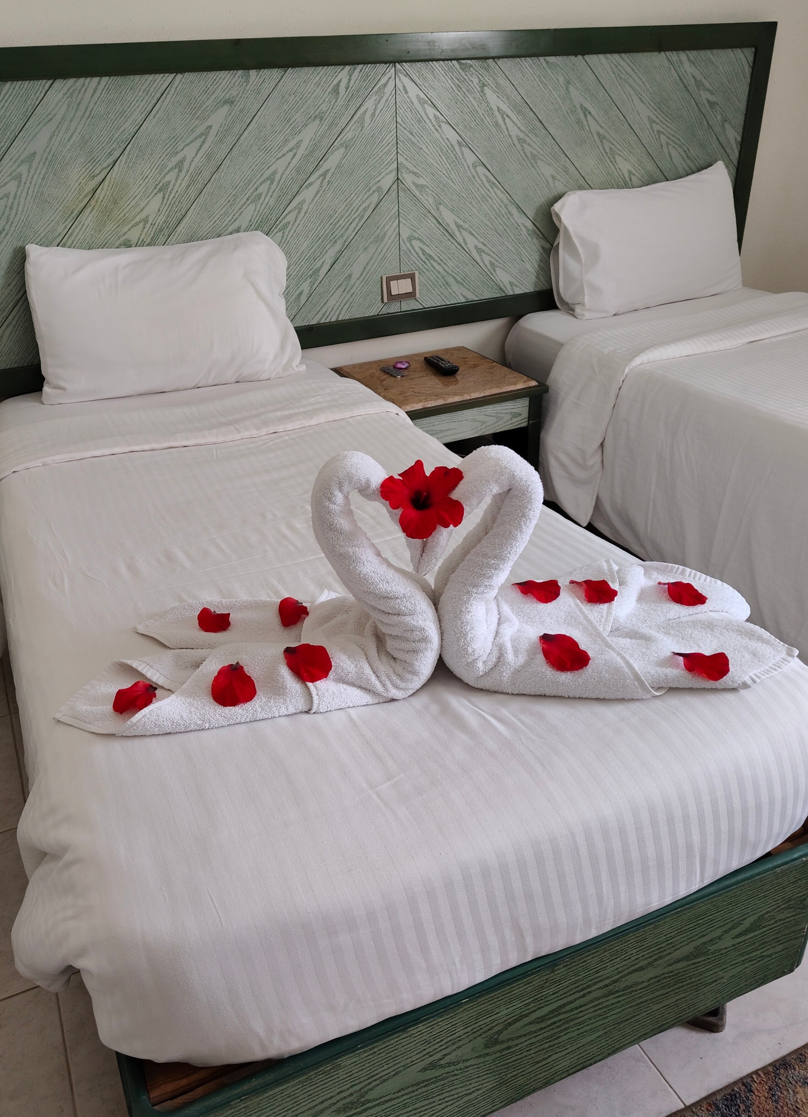 Фото Falcon Hills Hotel