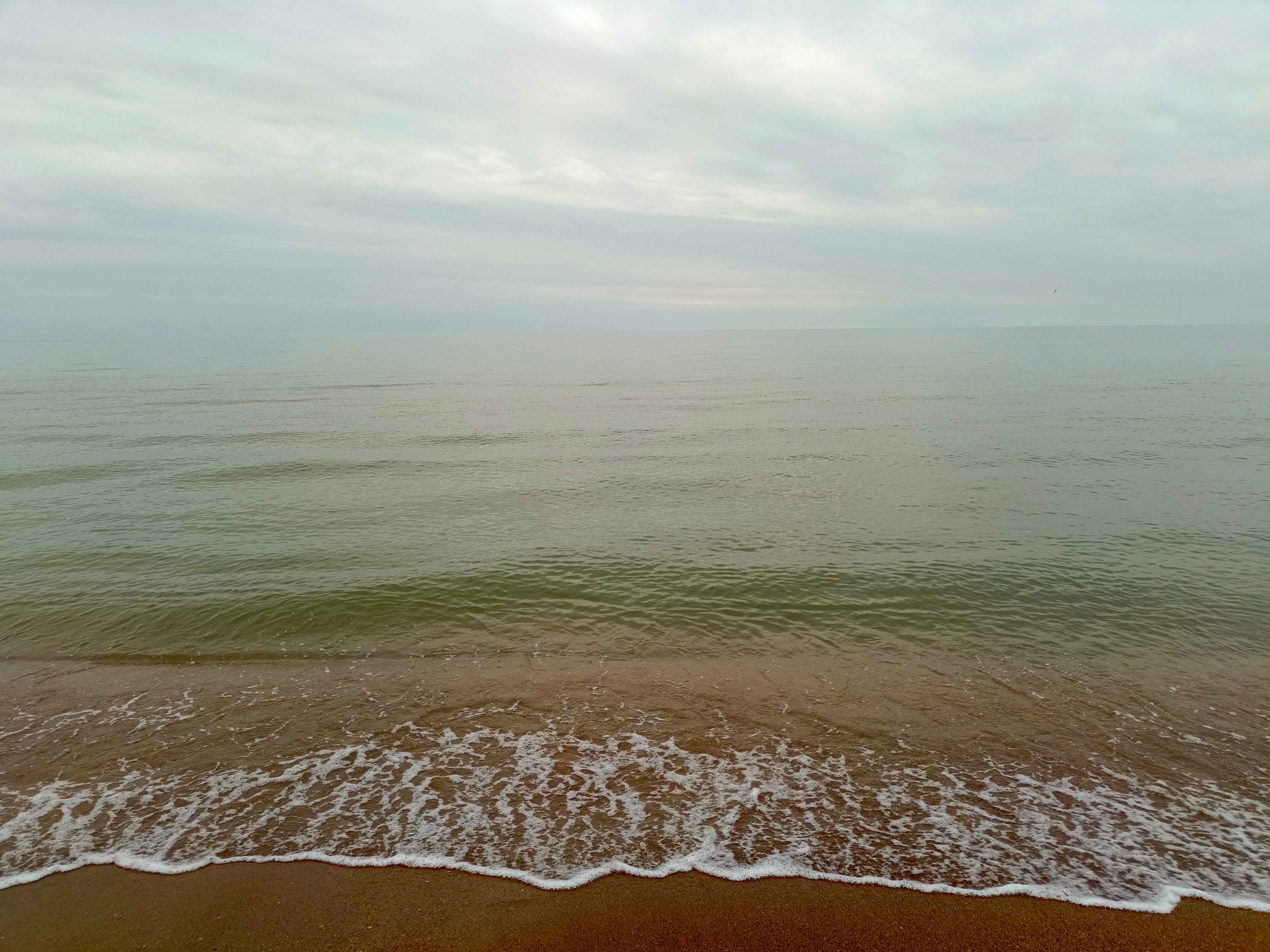 Фото Грин Вилл