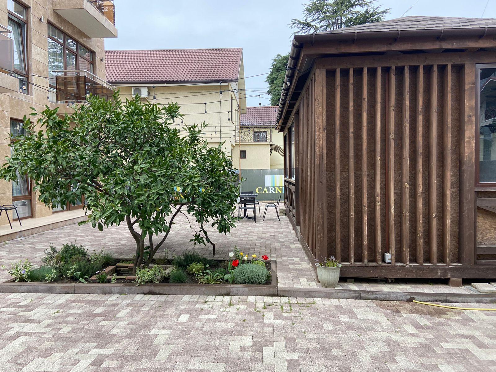 Фото Бумеранг