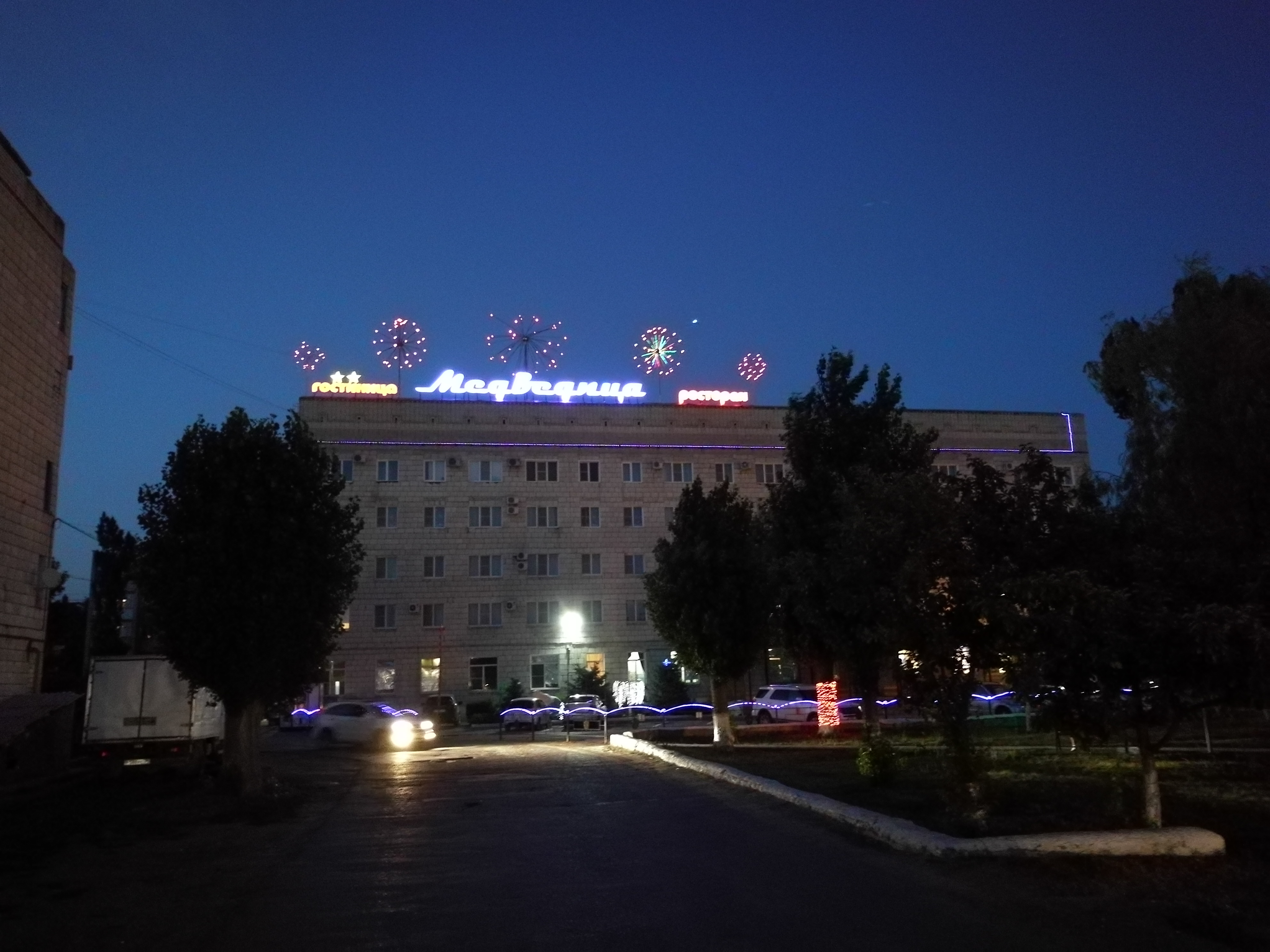 Фото Медведица