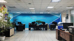 Kolibri (Belinskogo Street, 222), it company