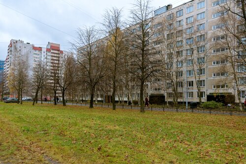 FlatHome24 на Коллонтай 27  фото 4