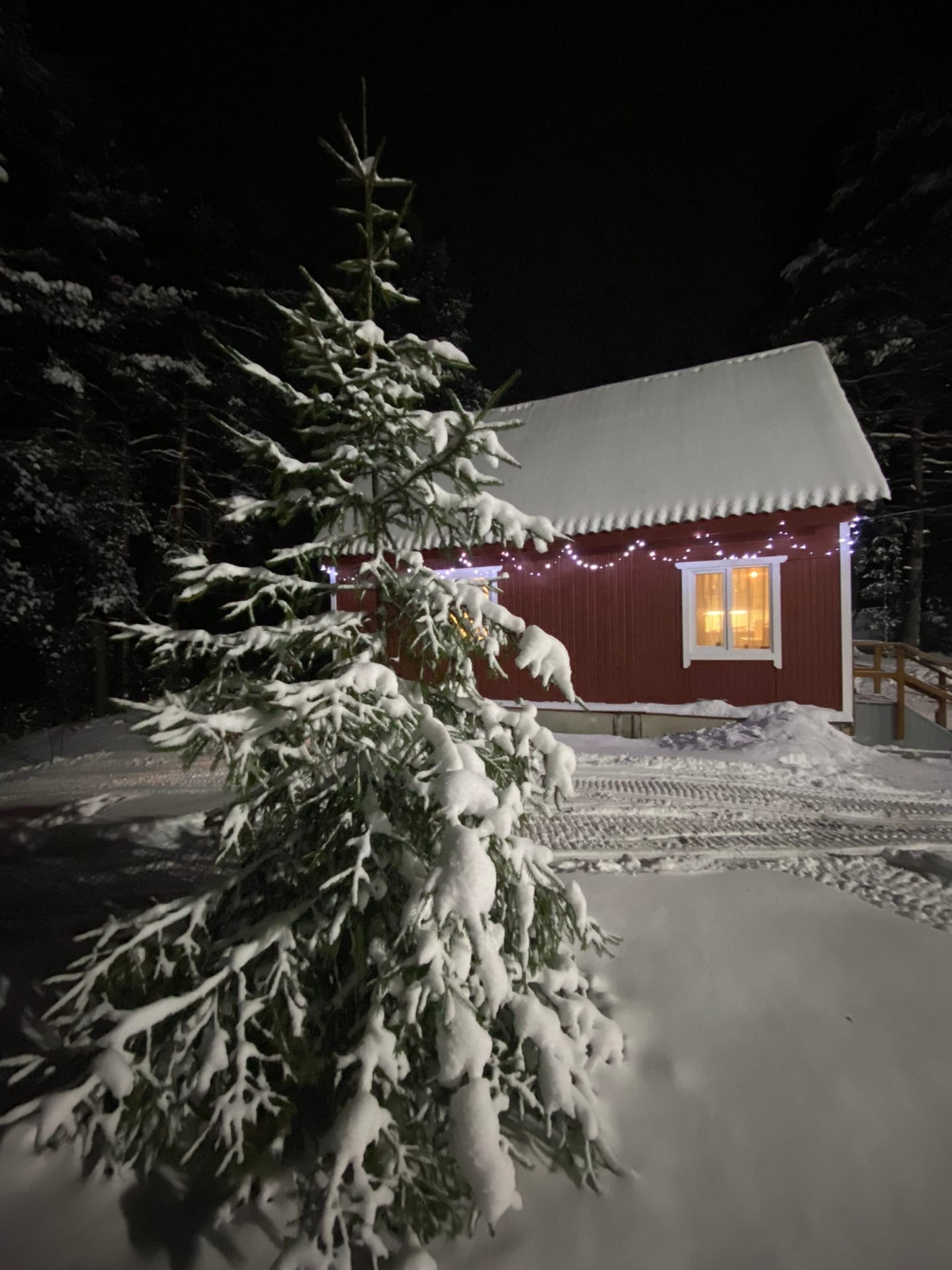 Фото Кангас