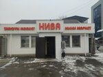 Qiwi (Lomonosov kóshesi, 27), payment terminal