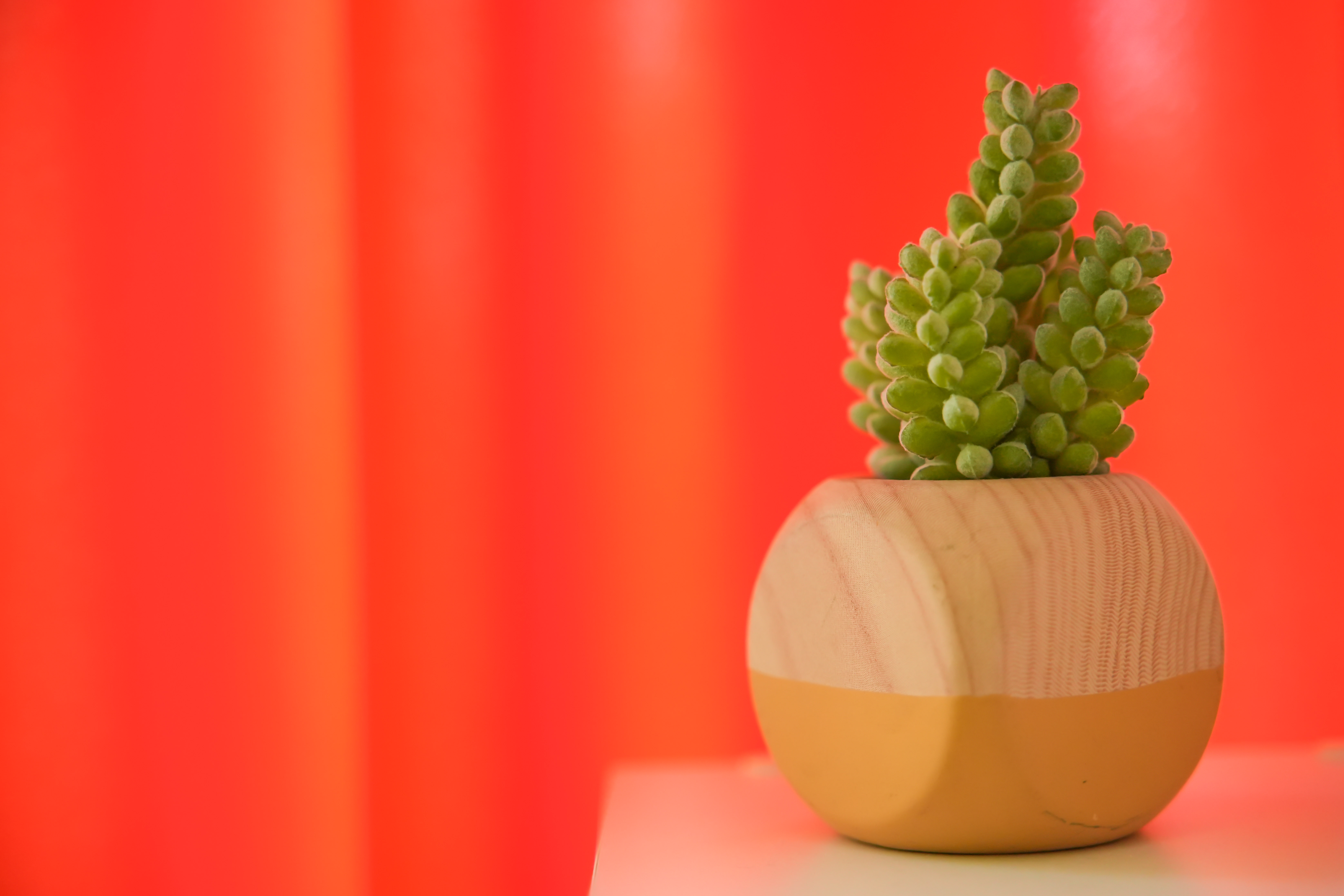 Фото Sunny Sochi