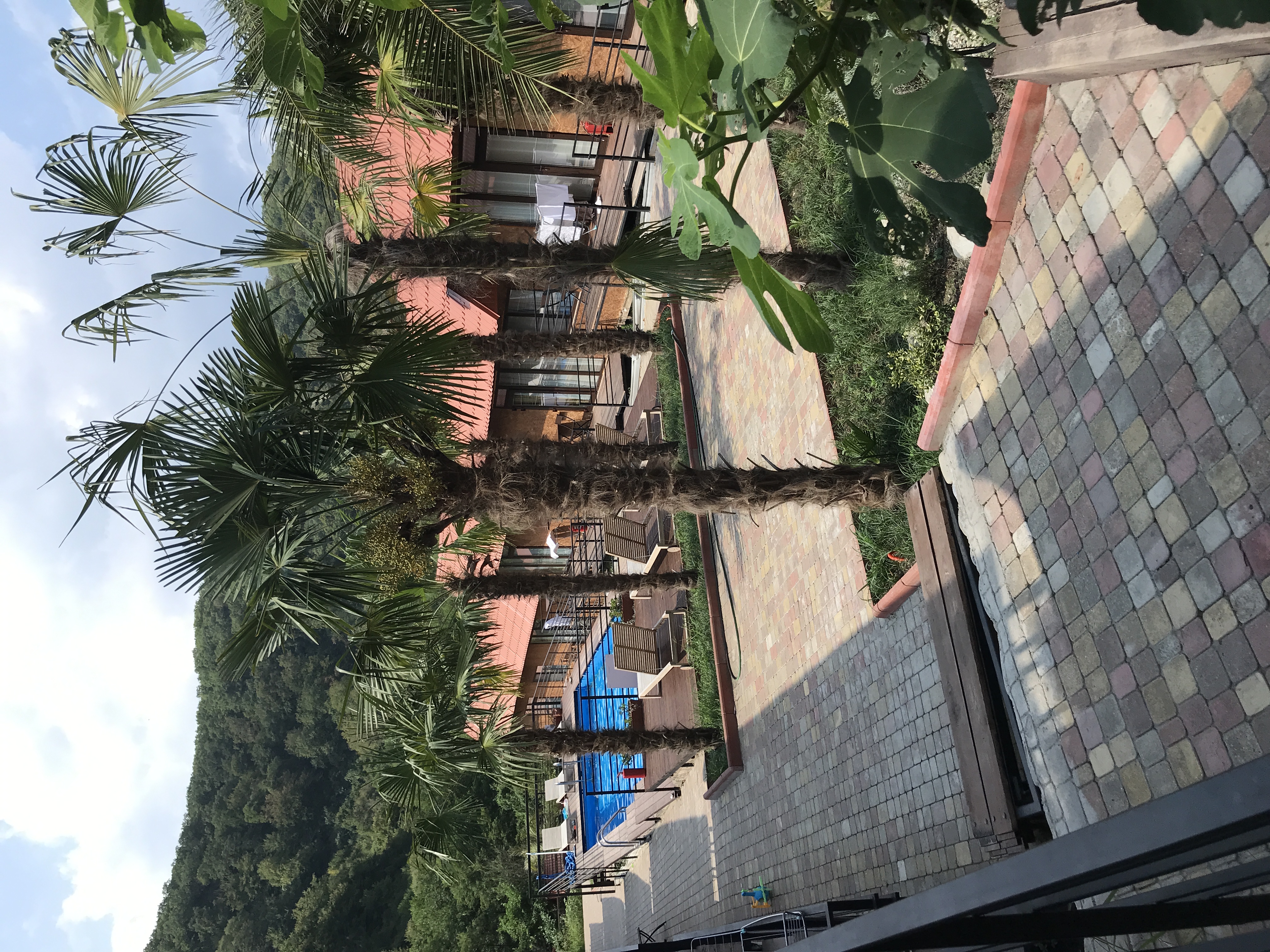 Фото Yoga Village