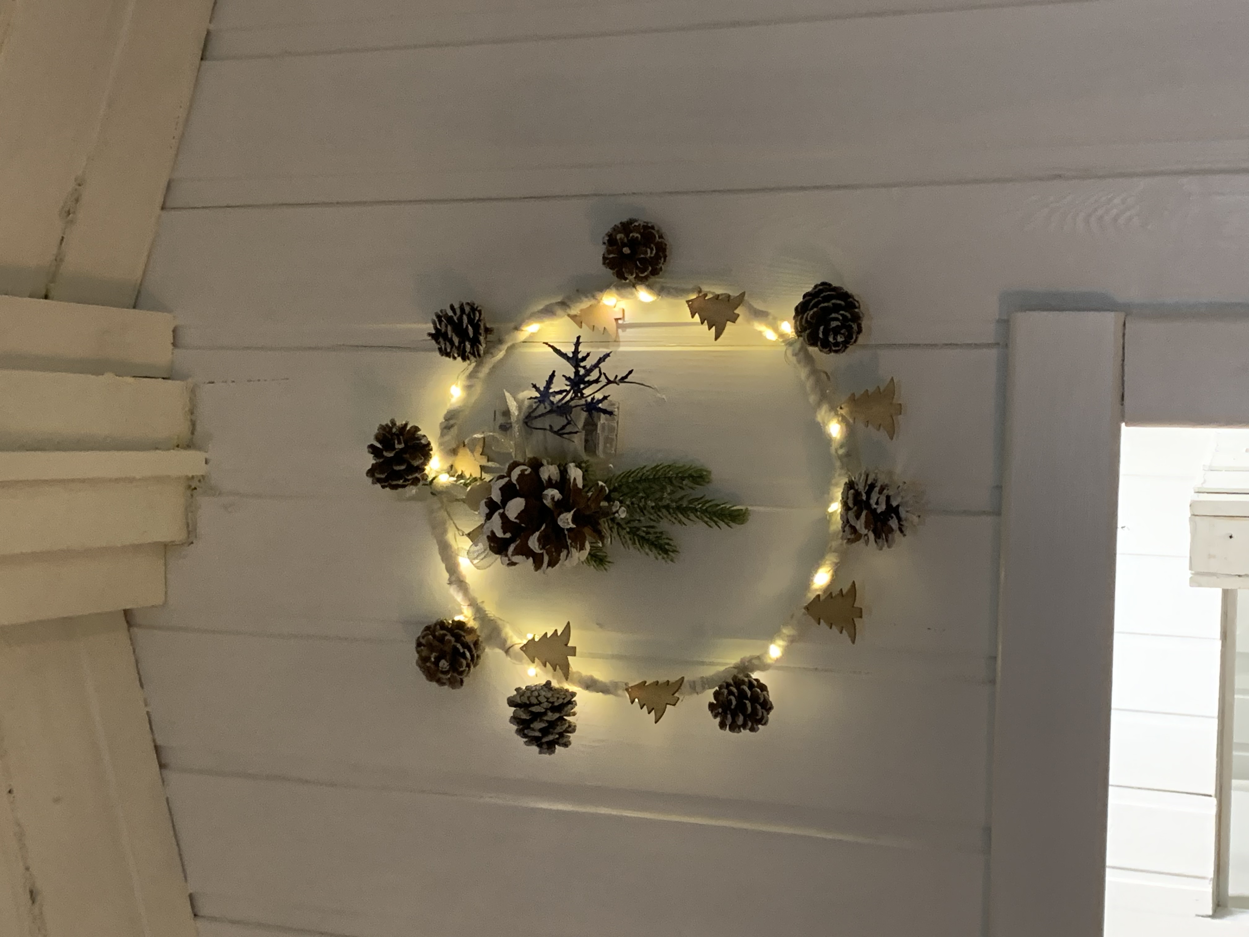 Фото TinyDacha можжевельник