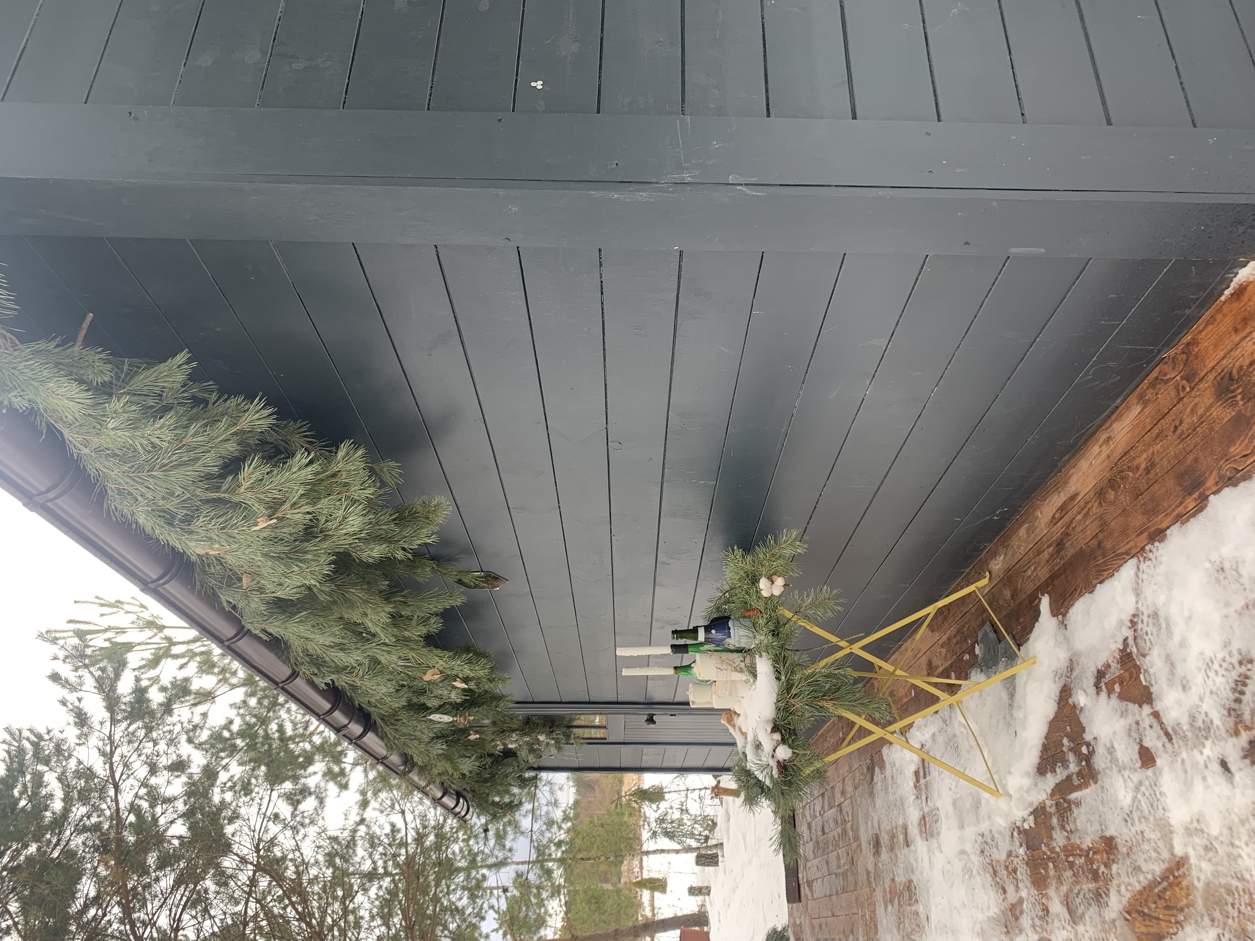 Фото TinyDacha можжевельник