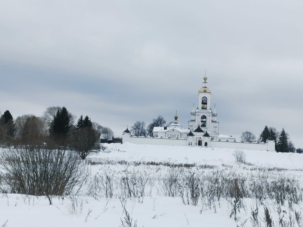 Достопримечательность Чудо-дерево, Переславль‑Залесский, фото