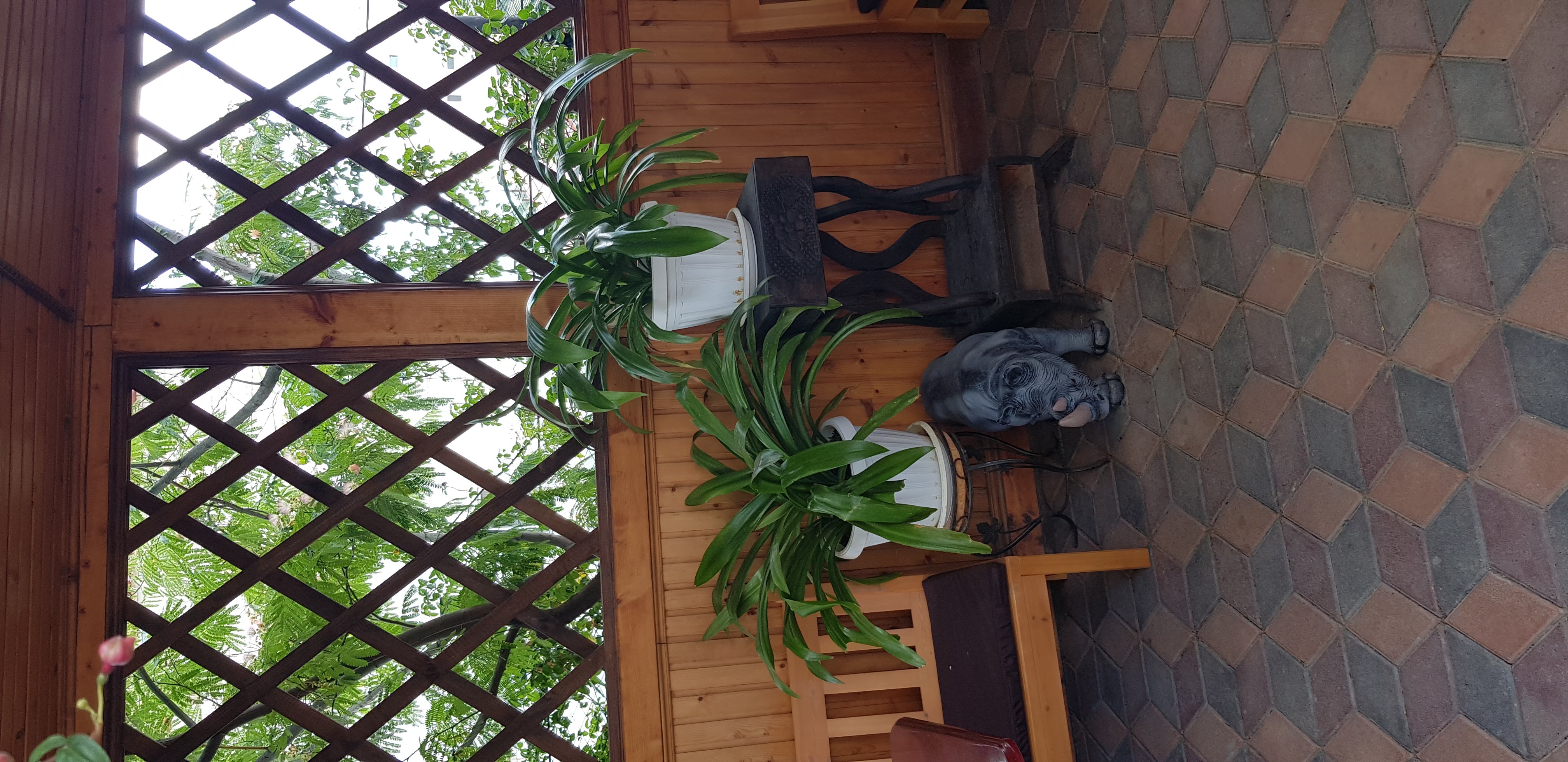 Фото Сапсан