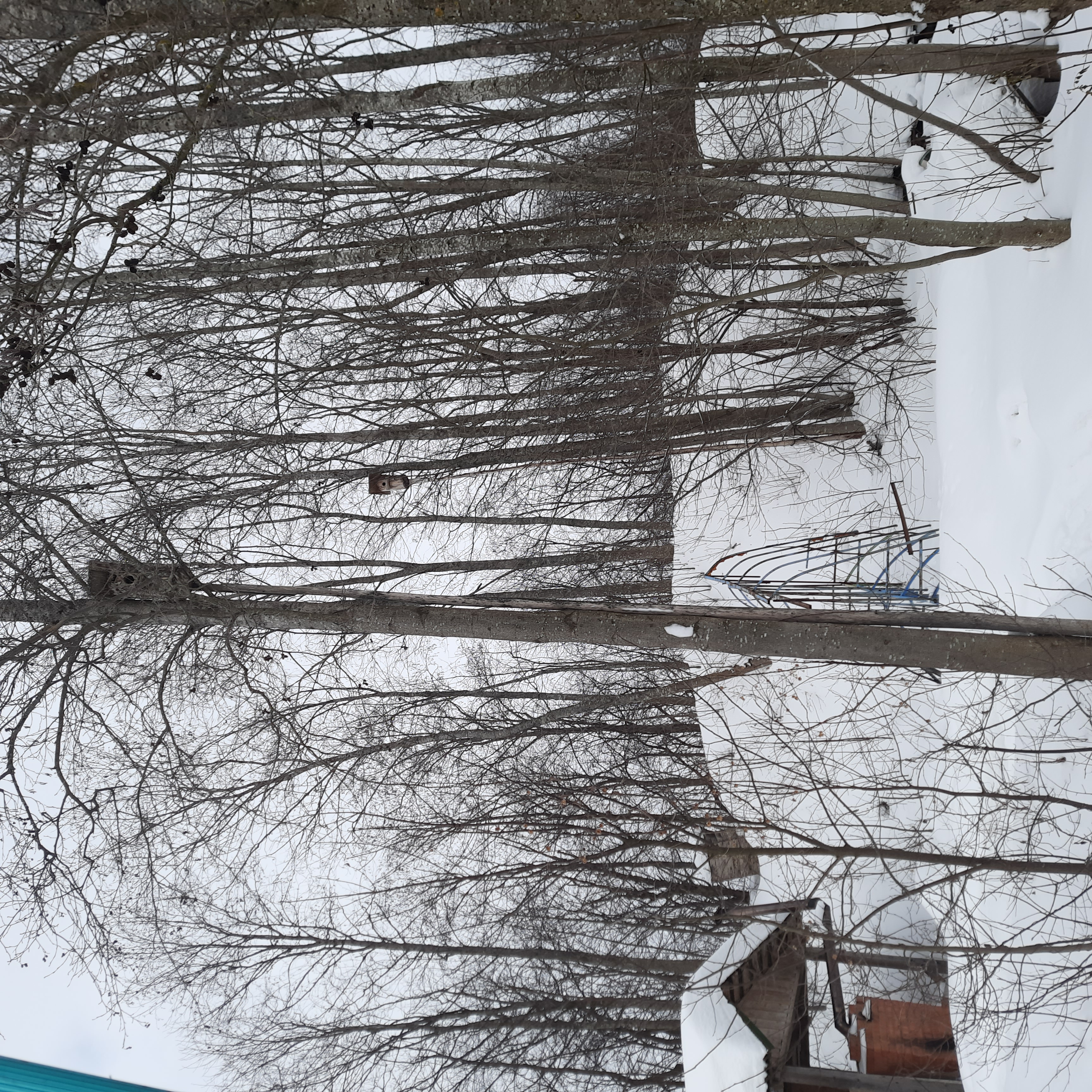 Фото У озера