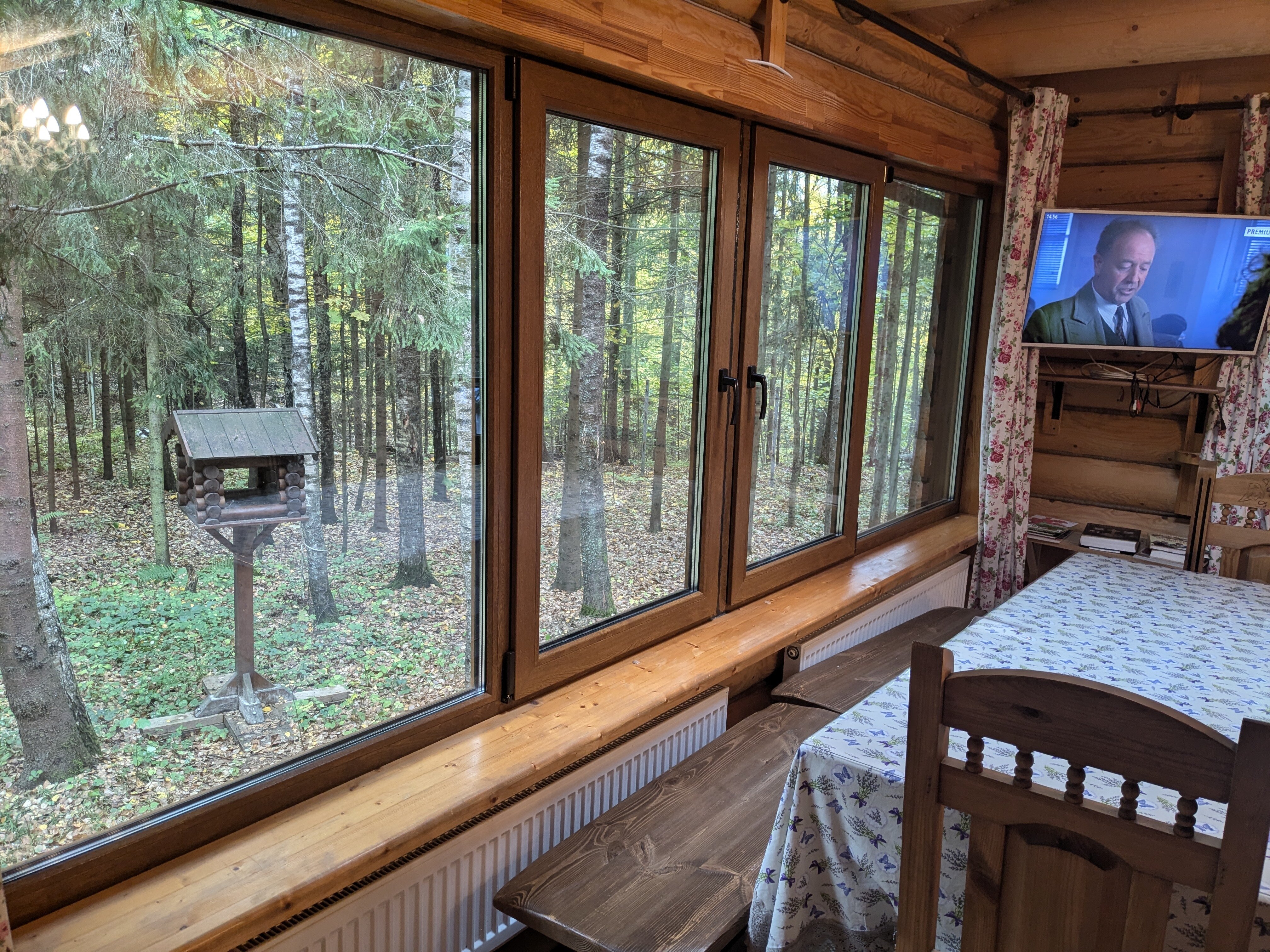 Фото Дикий Лис