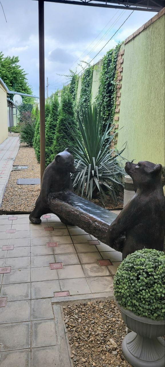 Фото Светлана