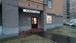 Mosplitka (Chistopolskaya Street, 68), ceramic tile